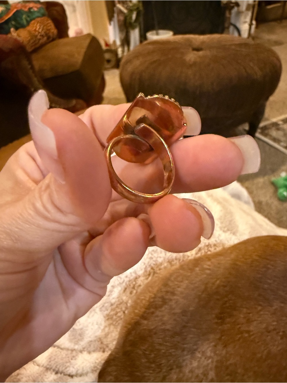 Copper with Double Moonstone Statement Ring - White Moonstone - Picture 5 of 5